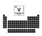 bvm-invest-01