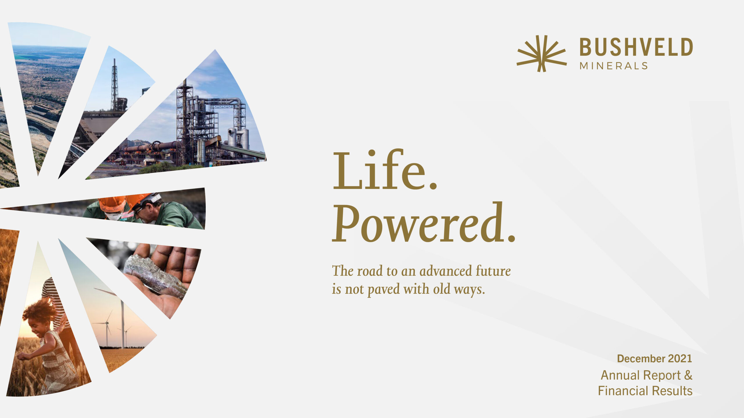 Bushveld Minerals Annual Report